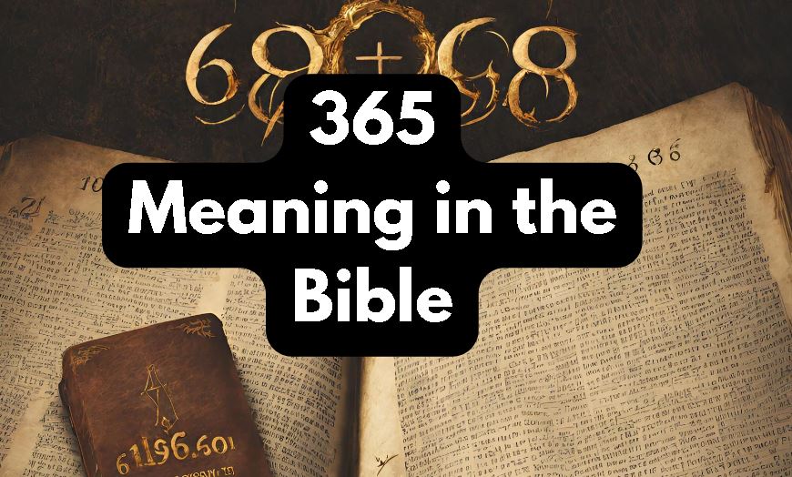 What Is the Number 365 Meaning in the Bible