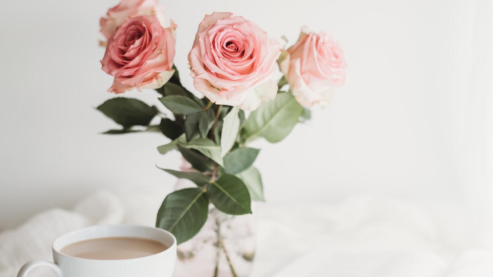 Understanding⁣ the Concept of Grace in Christianity